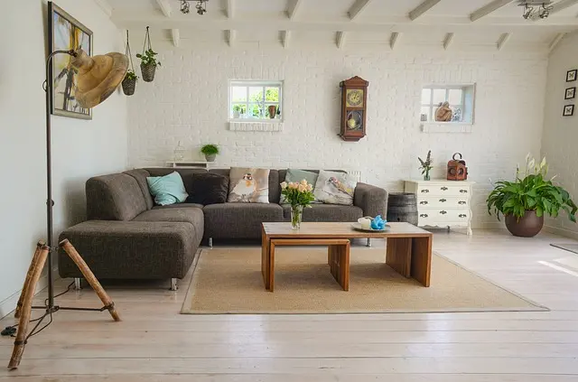 10 Astuces Incontournables pour Entretenir Vos Plantes d'Intérieur