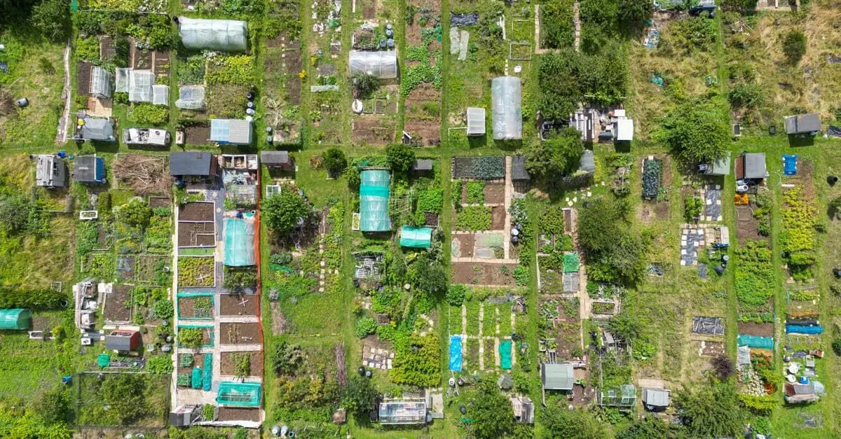 10 Conseils Pour Démarrer Votre Jardin Potager Réussi