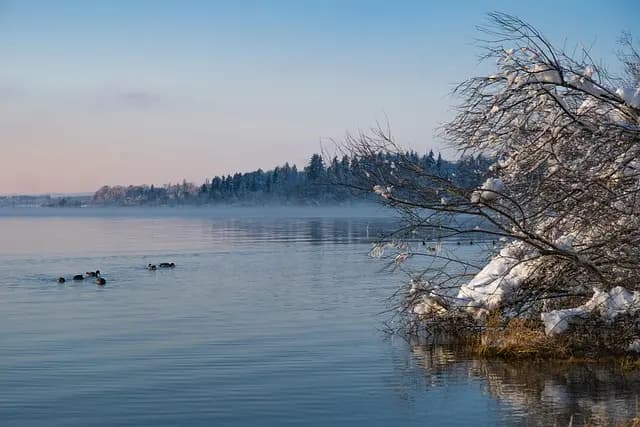 Comment Entretenir Votre Jardin en Hiver : 10 Conseils Pratiques