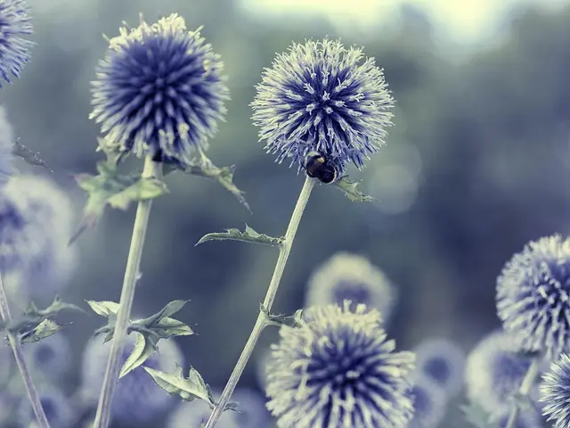 10 Astuces Indispensables pour Jardiner en Équilibre avec la Nature