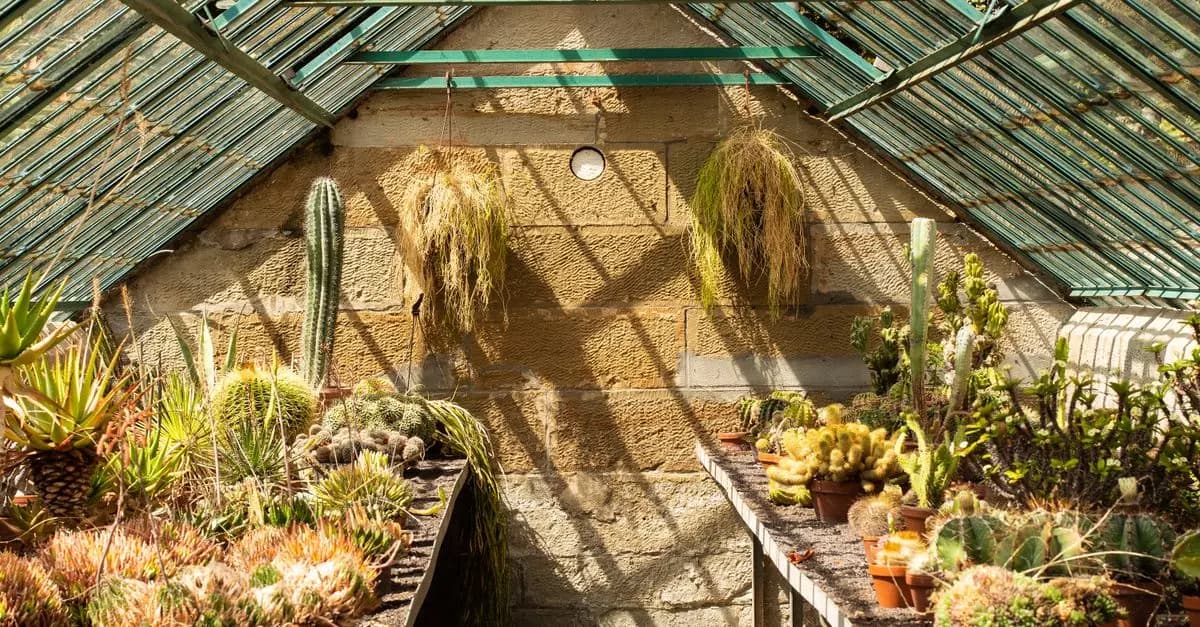 Notre Avis sur les Serres de Jardin à Petit Prix