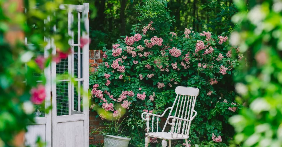 Comment Préparer Votre Jardin pour l'Été : 10 Astuces Pratiques