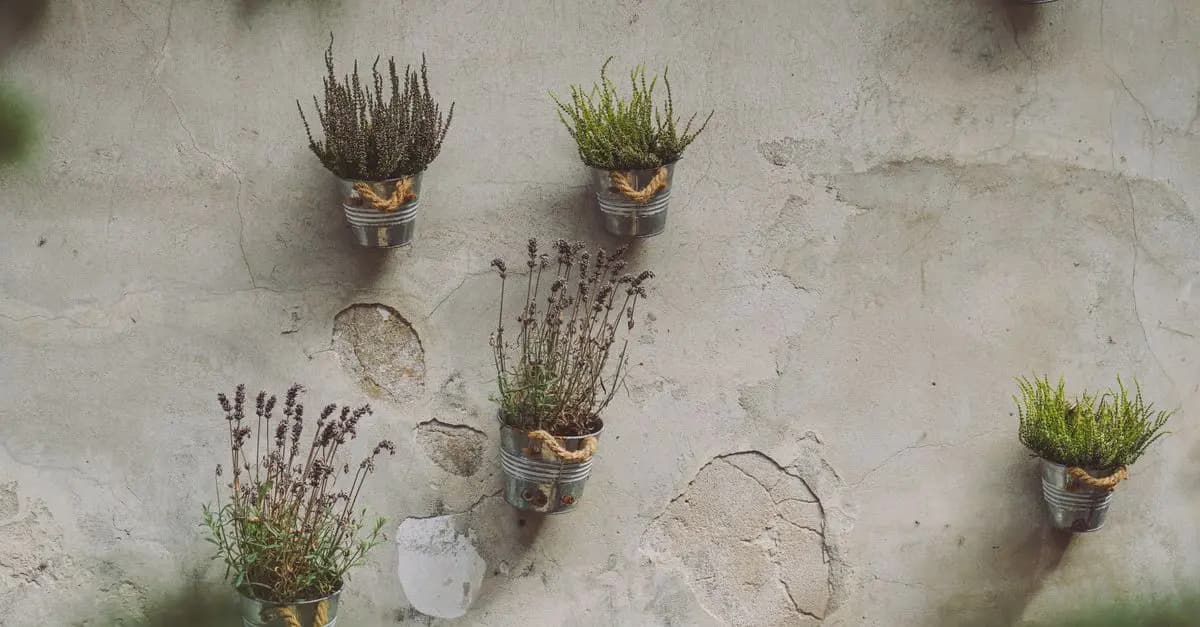 Les Meilleures Astuces pour Maximiser l'Espace de Votre Jardin