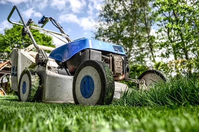 Comment Préparer Votre Sol pour un Jardin Florissant