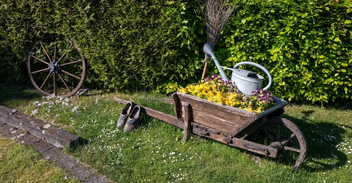 Comment Améliorer la Qualité de Votre Sol au Jardin