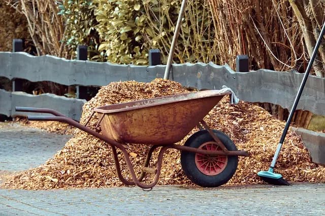 10 Astuces Pratiques pour Éviter les Mauvaises Herbes dans Votre Jardin