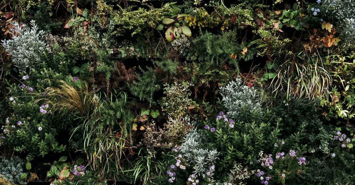 Surmonter les Défis du Jardinage en Sol Argileux