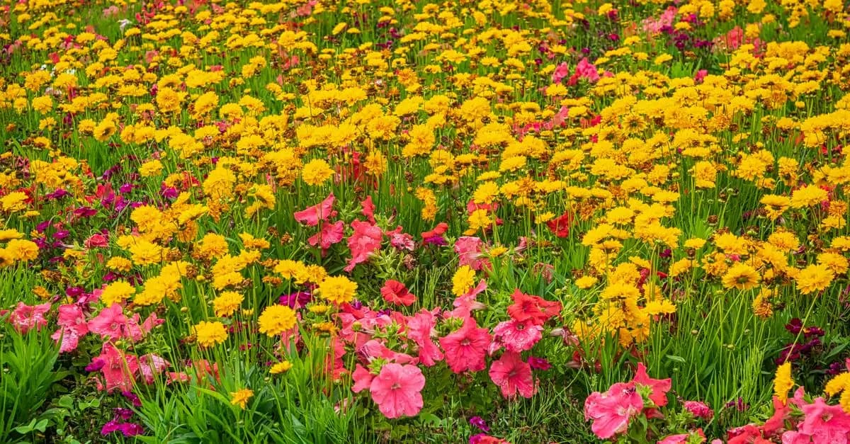 10 Astuces pour Réussir votre Jardin en Toutes Saisons