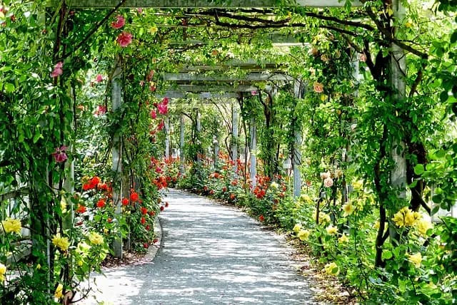 Comment Préparer Votre Jardin pour l'Été : 10 Astuces Immanquables