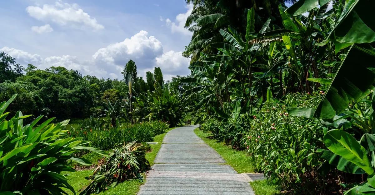 Comment Créer un Jardin Potager pour Débutants