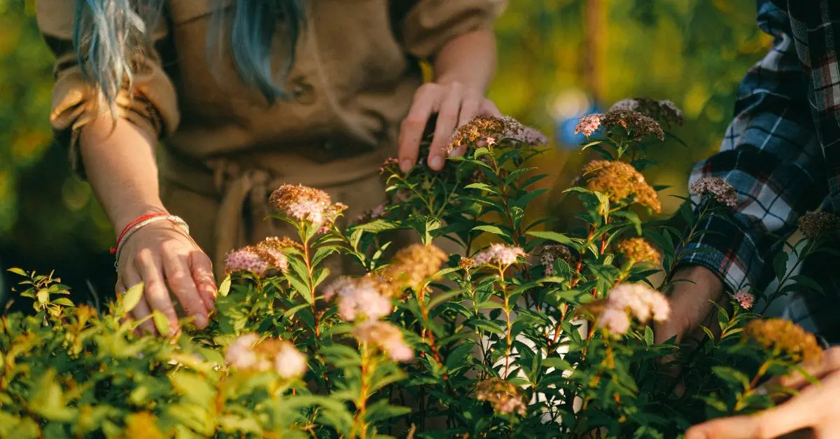 Techniques de Plantation en Permaculture