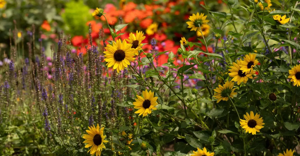 7 Erreurs à Éviter pour un Jardinage Réussi