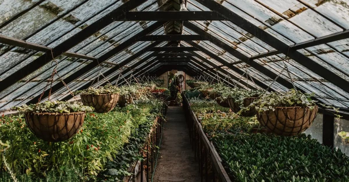 Comment Établir un Plan de Jardinage Efficace en 5 Étapes