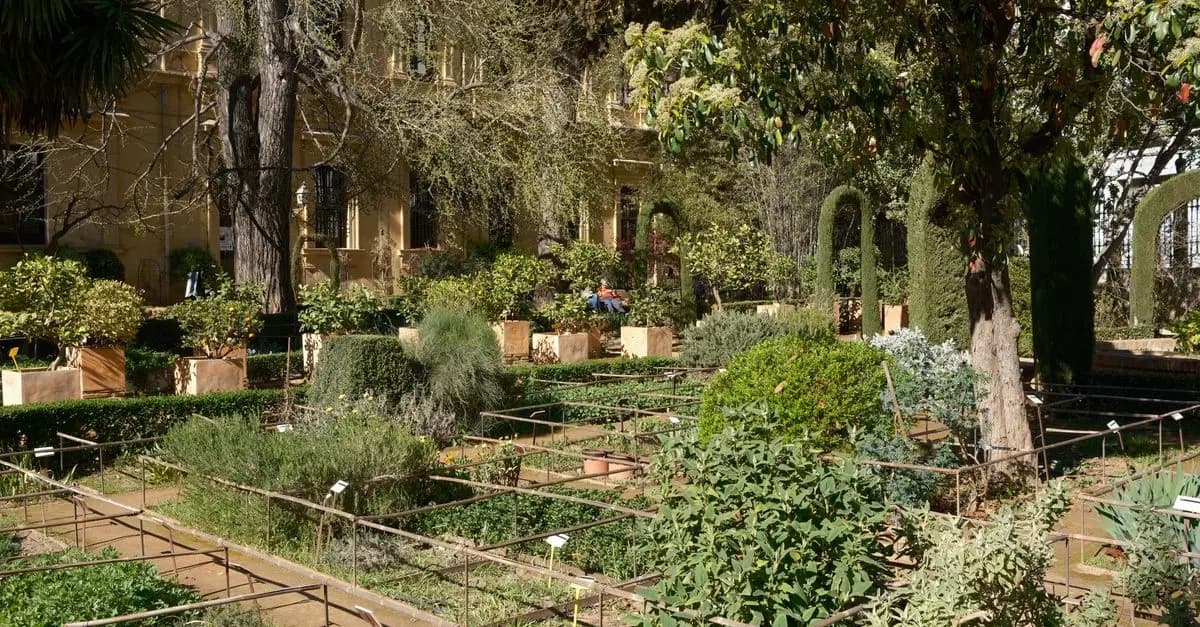 Comment Choisir les Plantes Idéales pour Votre Jardin