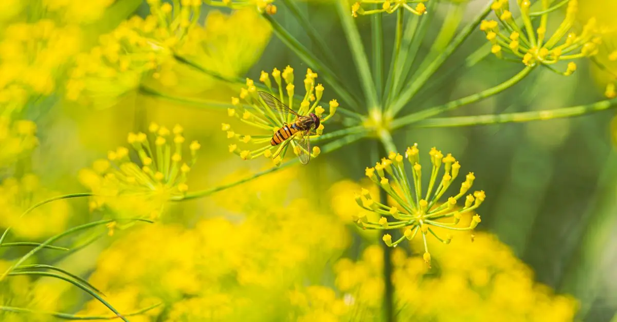 Comment Éloigner Naturellement les Parasites du Jardin