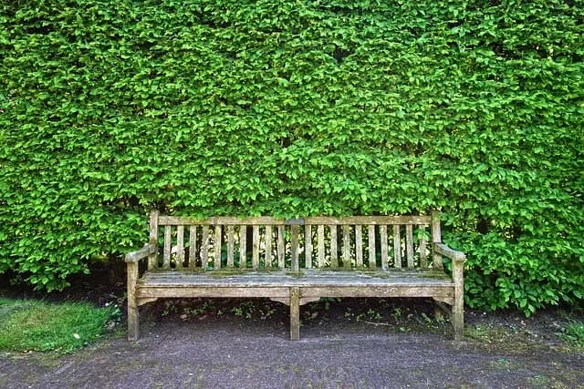 10 Astuces Incontournables pour Maximiser l'Espace de Votre Jardin