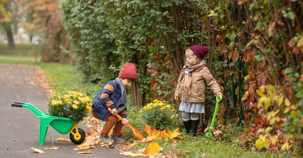 10 Conseils Pratiques pour Bien Préparer Son Jardin en Automne