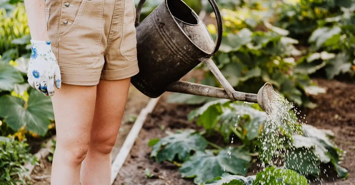 5 Astuces Essentielles pour Un Jardinage Réussi Tout Au Long de l'Année