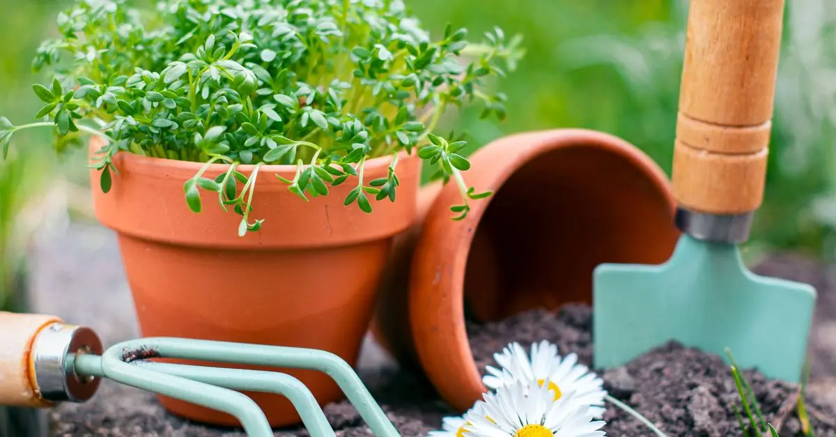 5 Astuces pour Entretenir Votre Jardin Tout au Long de l'Année