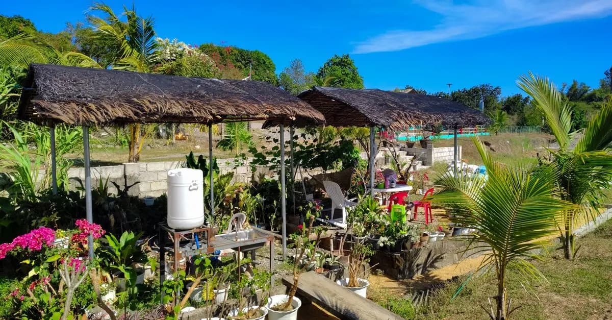 Comment Appliquer des Techniques de Jardinage Durables