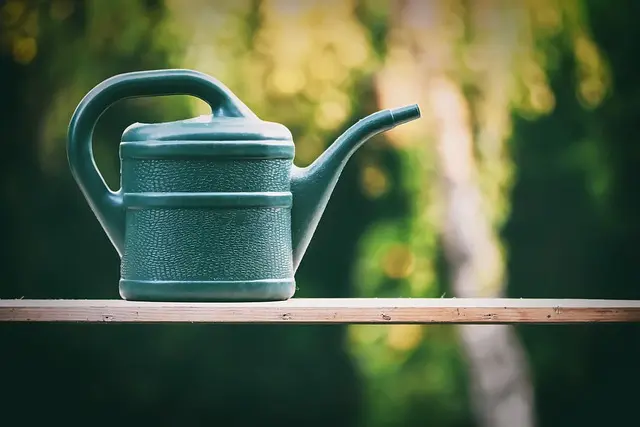 Les Meilleures Astuces pour Économiser de l'Eau au Jardin