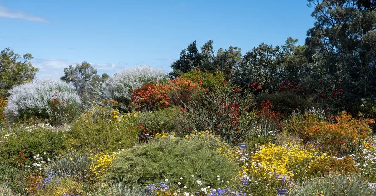 Comment Choisir les Meilleures Plantes pour Votre Jardin