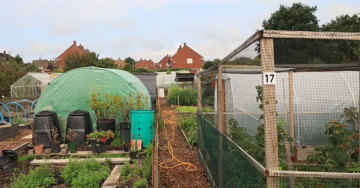 Comment Concevoir un Jardin Écologique en 5 Étapes Clés
