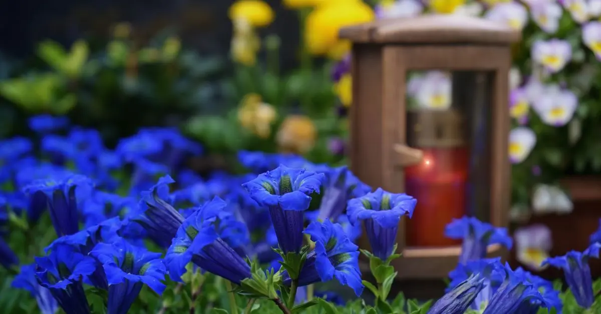 Comment Préparer votre Jardin pour la Saison des Plantes