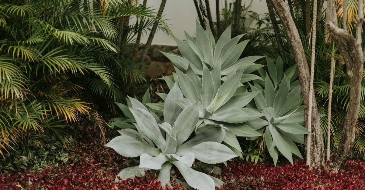 Pourquoi et Comment Utiliser le Compost au Jardin