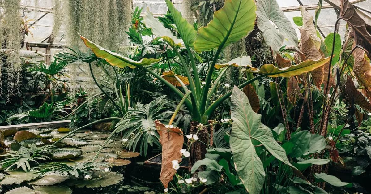 Créer un Jardin Écologique et Durable
