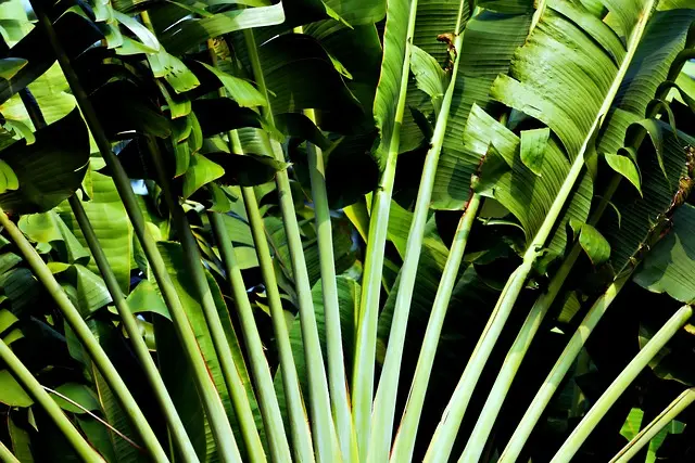 10 Astuces Pratiques pour Réussir votre Jardin Écologique