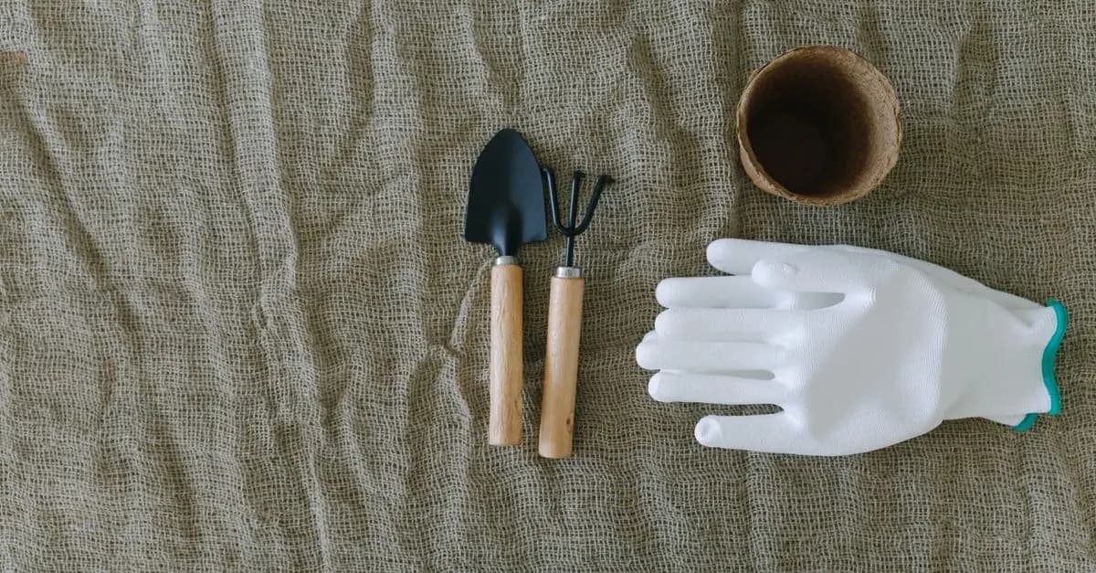 Comment Préparer Son Jardin pour le Printemps