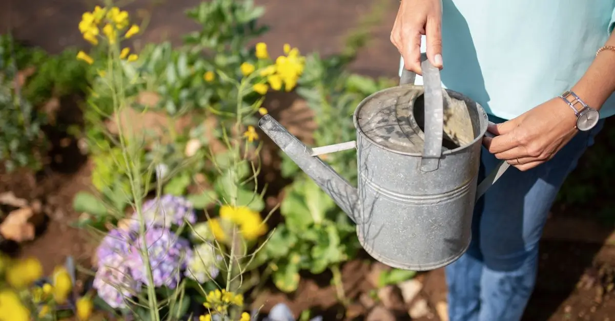 Comment Créer un Jardin de Plantes Fidèles à la Biodiversité