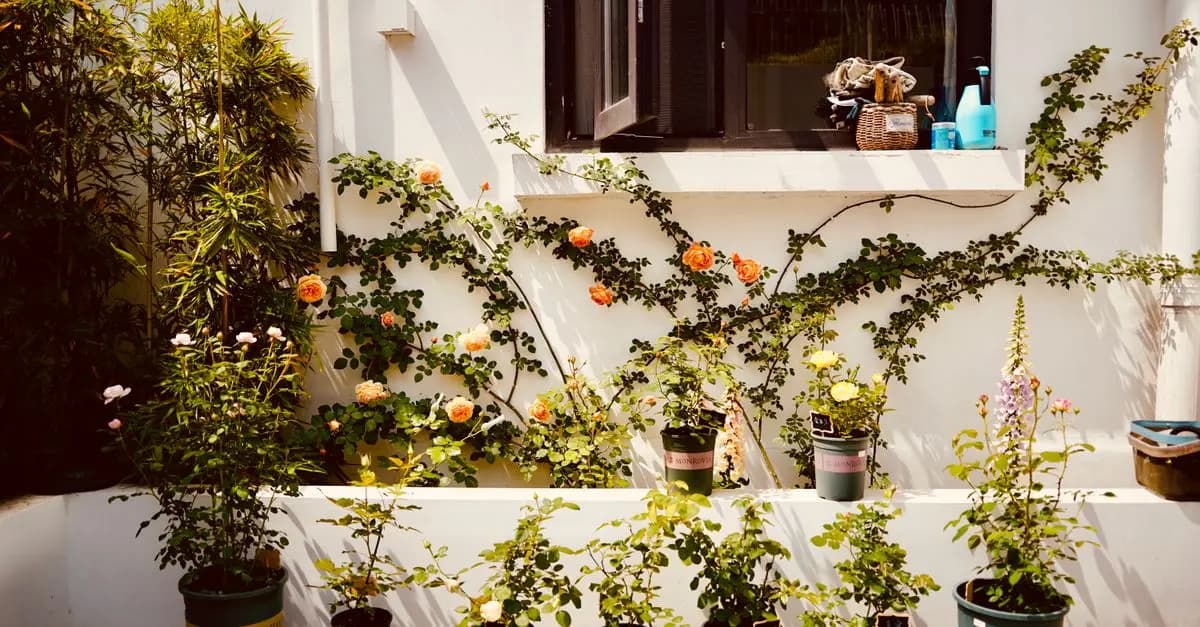 Guide Pratique de la Culture de Fraises en Pots