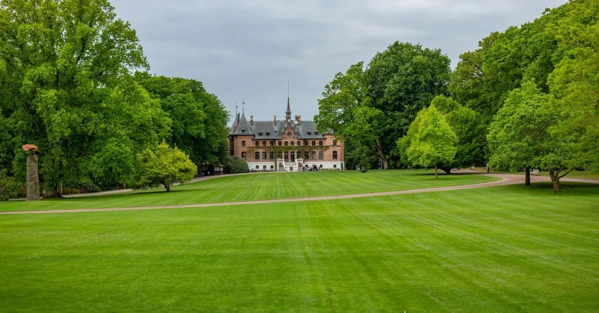 Les 10 Meilleures Astuces pour Éviter les Mauvaises Herbes dans Votre Jardin