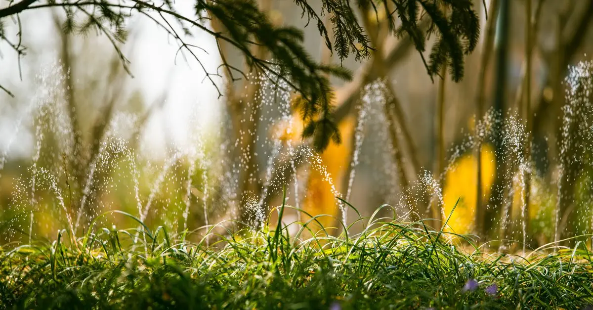 Comment Créer un Jardin Résilient aux Changements Climatiques
