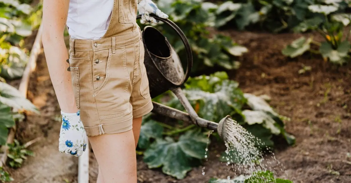 Comment Créer un Coin Compostage dans votre Jardin