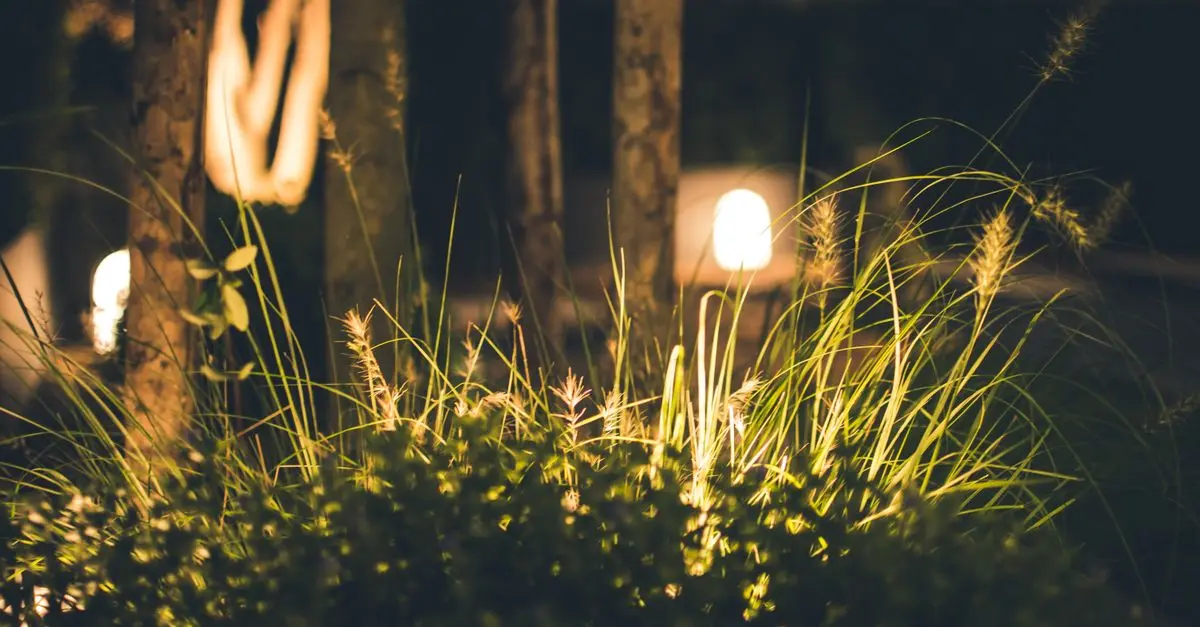5 Astuces Pour Améliorer L'Éclairage de Votre Jardin