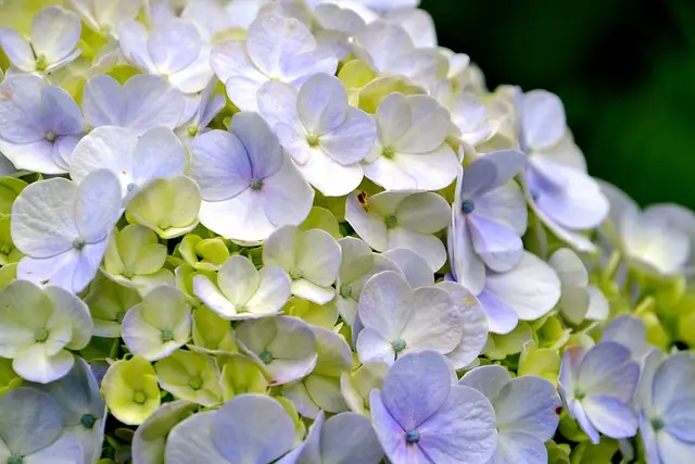 10 Astuces Pratiques pour Améliorer le Compostage de Votre Jardin