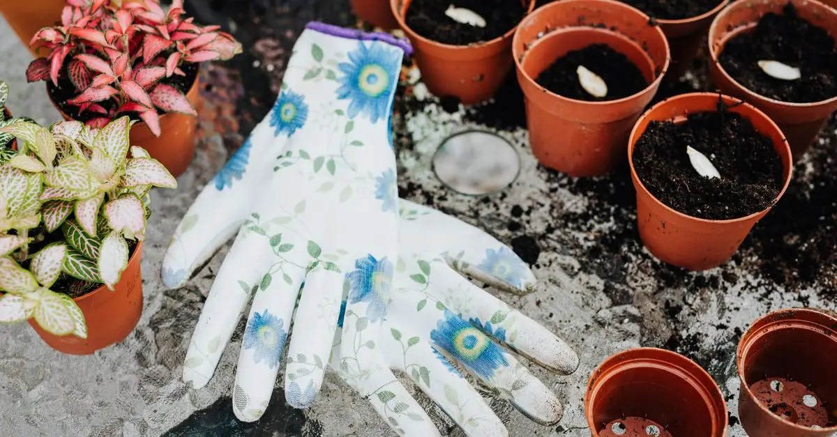 Comment Entretenir Votre Jardin au Printemps : Guide Pratique