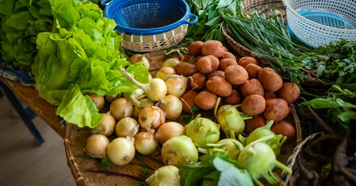 10 Conseils Essentiels pour Réussir votre Jardin Potager