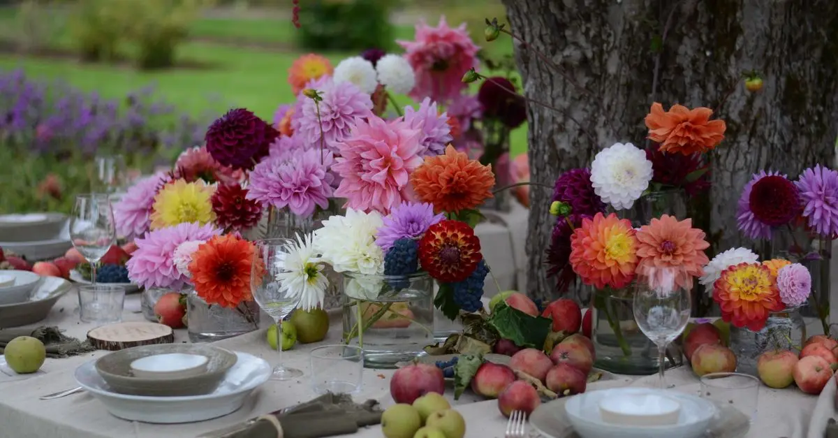 10 Astuces Incontournables pour Entretenir Votre Jardin en Automne