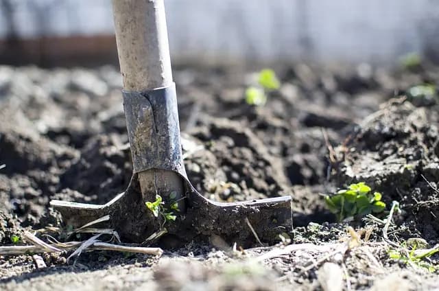 Comment Évaluer la Santé de Votre Sol pour un Jardin Réussi