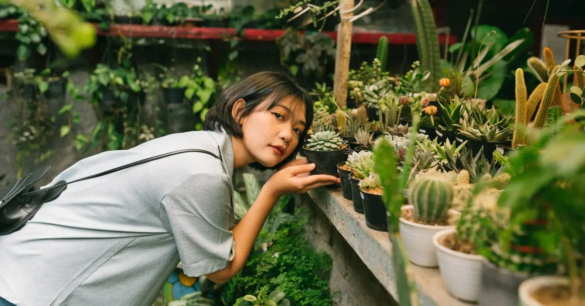 Comment Choisir les Outils de Jardinage Essentiels