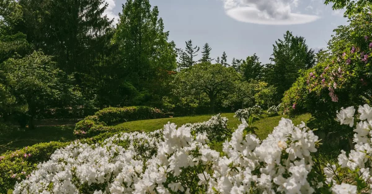 10 Conseils Indispensables pour un Jardinage Réussi