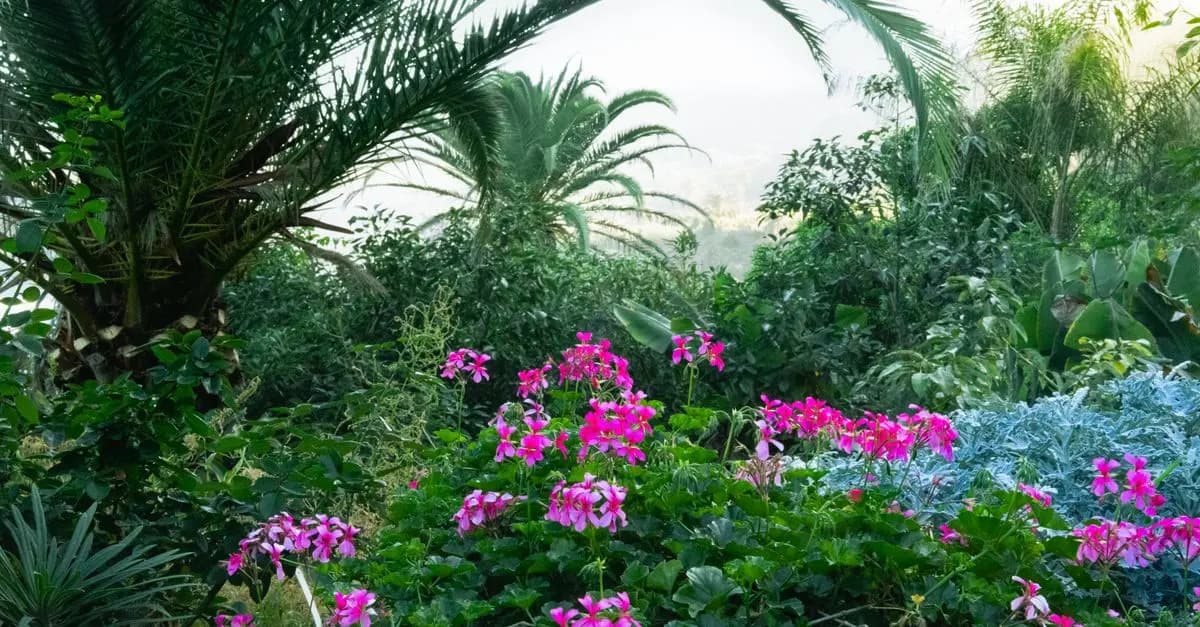 Conception et Entretien d’un Jardin Tropical