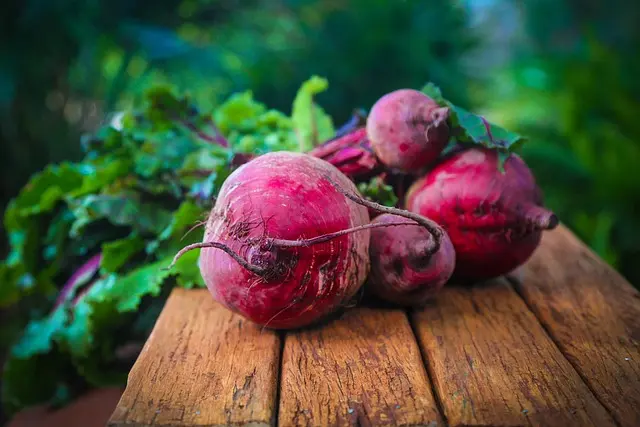 10 Astuces Pratiques pour Maximiser le Rendement de Votre Jardin