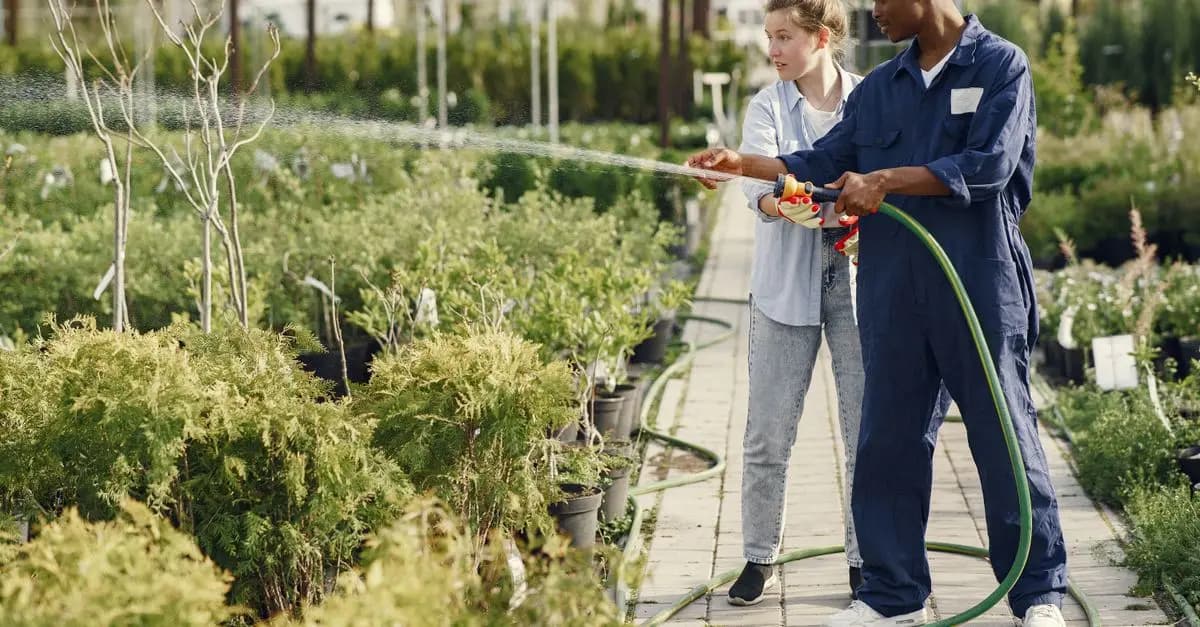 Les Meilleurs Outils de Jardinage : Notre Sélection
