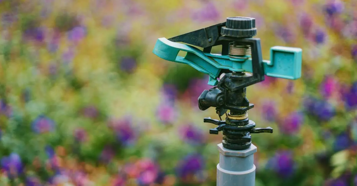 Les Avantages d’un Arrosage Automatique Bien Planifié