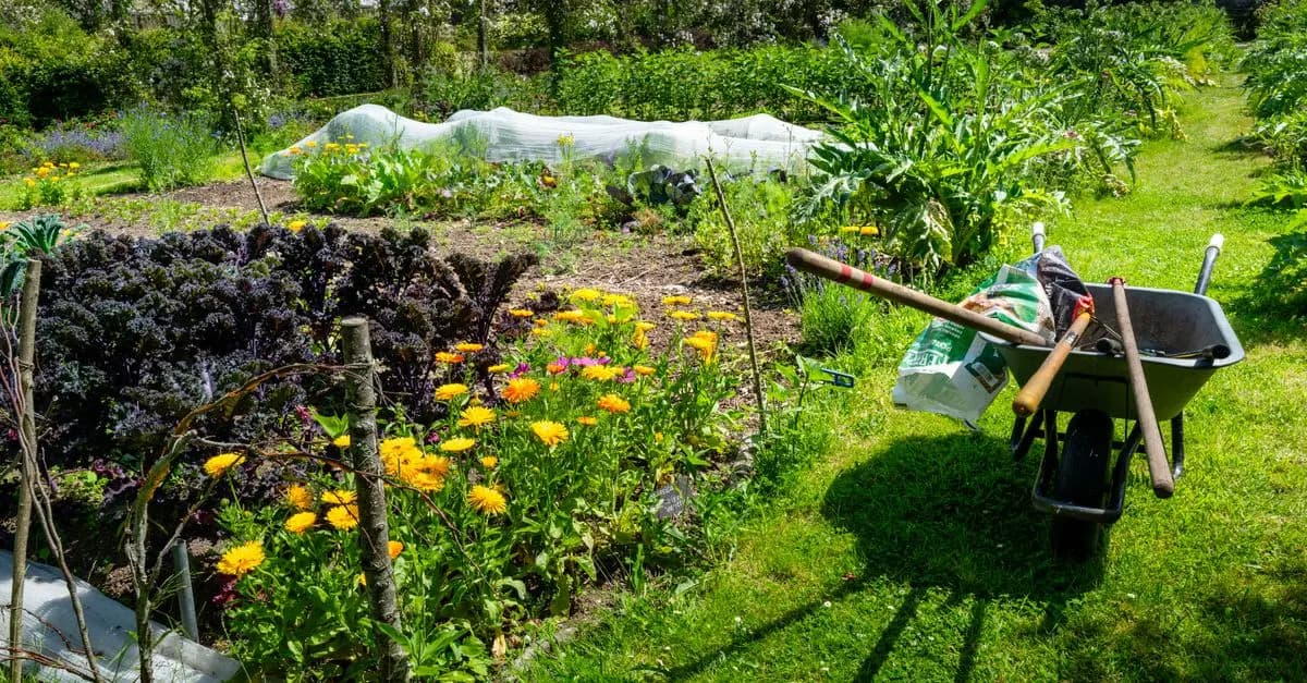 Les Meilleures Techniques de Jardinage pour Plantes Résistantes